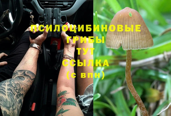 а пвп мука Краснослободск