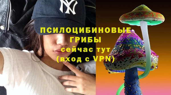 а пвп мука Краснослободск