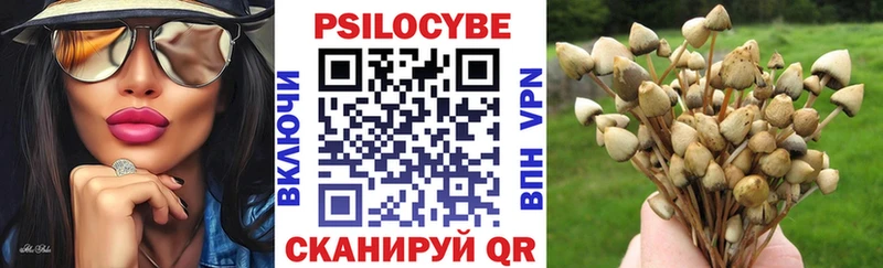 Купить где  Таганрог  Псилоцибиновые грибы MAGIC MUSHROOMS 